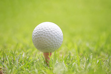 Golf ball on wooden golf tee.