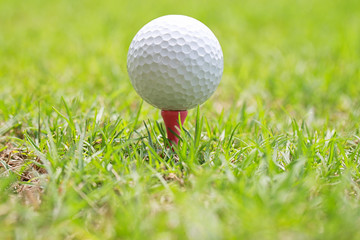 Golf ball on wooden golf tee.