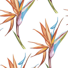 Elegance seamless pattern in vintage style with Strelitzia flowers. EPS 10