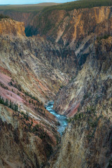 Canyon in Yellowstone National Park