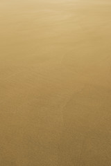 Hintergrund Sand perfekter Sandstrand in weichem Licht - Background Sand perfect sand beach in soft light