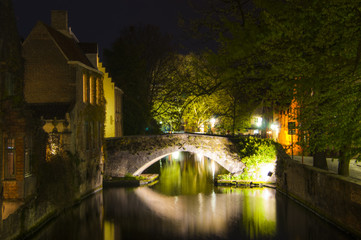 Obraz premium Pont de nuit à BRUGES