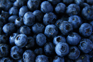 Blueberry full frame use for background