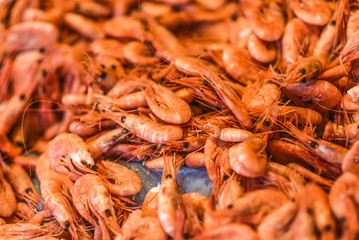 Shrimps on a Fish market in Bergen in Norway. View on a detail.