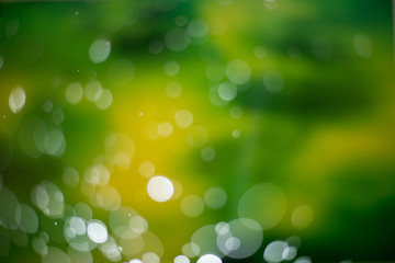 Abstract dark green bokeh Background.