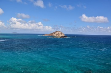 ラビットアイランド