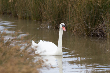 Parc du Teich