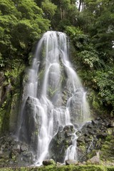 Fototapeta na wymiar Chutes d'eau sur l'île de Sao Miguel (Açores)