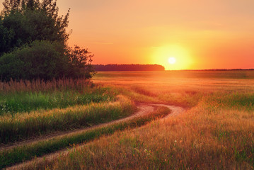 Country road in field over bright sunset