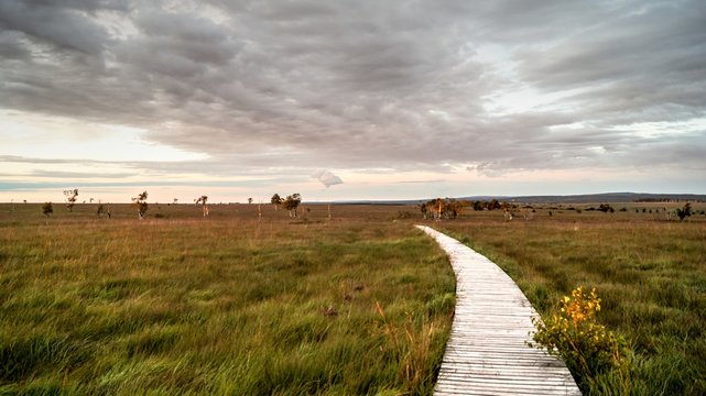 les Hautes-Fagnes en fin de journ&eacute;e
