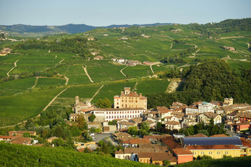 Fototapeta na wymiar View of Barolo in Langhe Hills