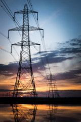 Electricity pylons disappear over horizon on marshland at sunset