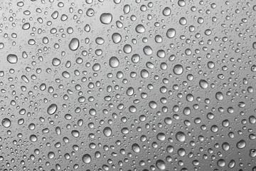 water drops on a silver background.water drops on metal silver background
