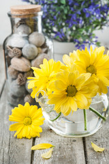 Obraz na płótnie Canvas Yellow daisies decor and blue flowers