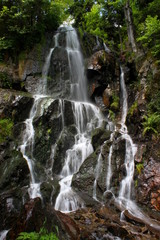 Fototapeta na wymiar Wasserfall Cascade de l'Andlau im Elsass