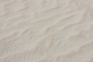 Fototapeta na wymiar Beach - sandy background.
