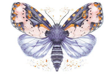 Painted drawing watercolor shaggy butterfly bear, bright color, thick body, night butterfly on a white background with splashes in serene tones, for decor, print