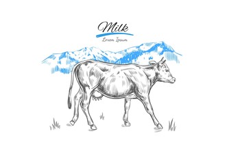 Farm landscape with cow. Vector Hand drawn illustration. Isolated objects on white. Dairy products design concept