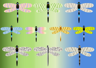 Ten bright dragonflies with glass, iridescent wings