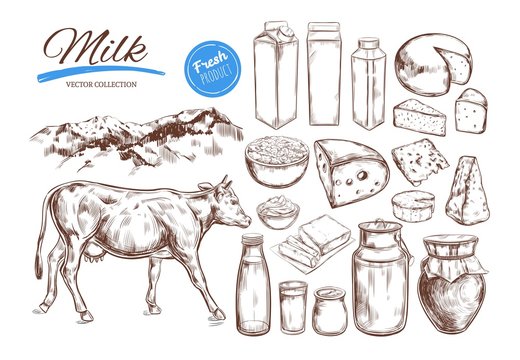 Dairy products vector collection. Cow, milk products, cheese , butter, sour cream, curd, yogurt. Farm foods. Farm landscape with cow. Hand drawn illustration. Isolated objects on white