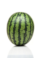 watermelon standing isolated on white background