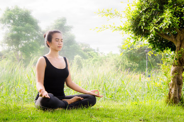 Naklejka na ściany i meble Young woman practicing yoga Everyday Yoga helps in concentration, meditation,breath, shape, strength, help skin brighten. Among the Dharma Air in bright days