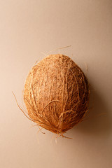 Coconut on a neutral background. Whole coconut. Top view