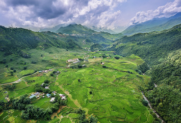green rice fields in the mountains of vietnam