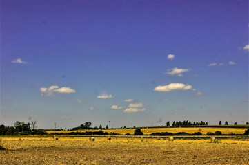 Wiejski krajobraz © pokrza