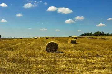 Wiejski krajobraz © pokrza