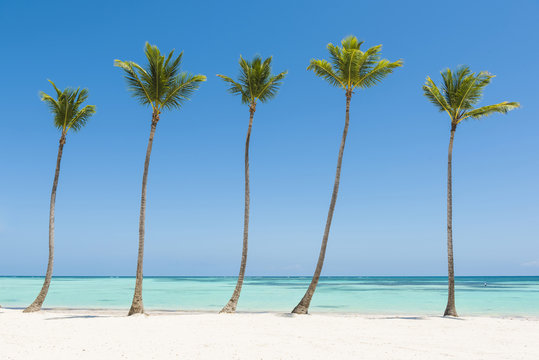 Juanillo Beach (playa Juanillo), Punta Cana, Dominican Republic. Palm-fringed beach.