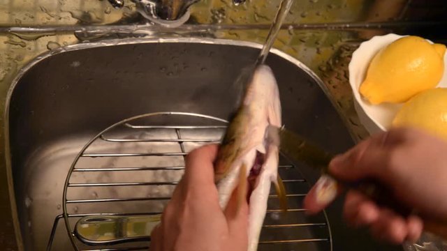 Washing and cleaning of fish.