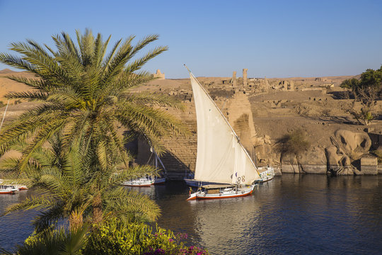 Egypt, Upper Egypt, Aswan, View towards Khnum ruins on Elephantine Island from the gardens at the Sofitel Legend Old Cataract hotel situated on the banks of the river Nile
