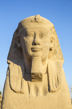 Egypt, Luxor, Luxor Temple, Avenue of Spinxes