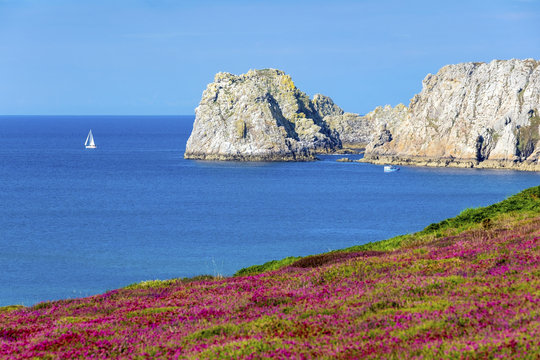France, Brittany (Bretagne), Finistere department, Camaret-sur-Mer. Pointe du Pen-Hir on the Presqu'ile de Crozon, Parc naturel regional d'Armorique.