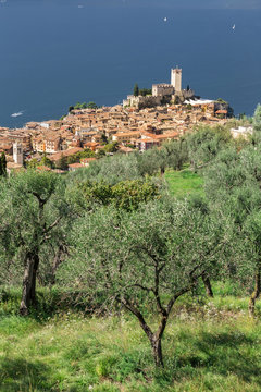 Italy. Veneto. Verona district. Lake Garda. Malcesine. Scaligero castle.