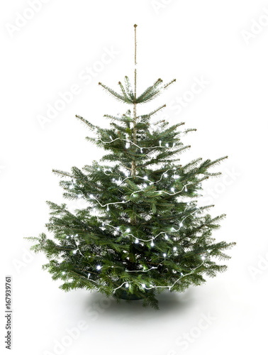 quot leuchtender weihnachtsbaum quot stockfotos und lizenzfreie quot leuchtender weihnachtsbaum quot stockfotos und lizenzfreie