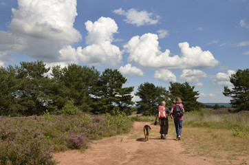 Obraz premium zwei frauen gehen mit hund und rucksäcken in der mehlinger heide