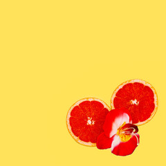 Grapefruit and Red Flowers Minimal art. Design