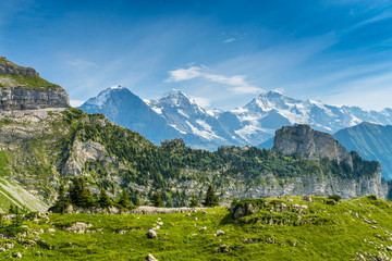 Fototapeta na wymiar Panorama-Aussicht auf dem Weg zur Schynige Platte mit Eiger, Mönch und Jungfrau