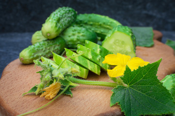 Fresh cucumber, carrots and red beet