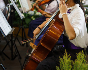 musician playing the cello in orchestra band © TWiRote