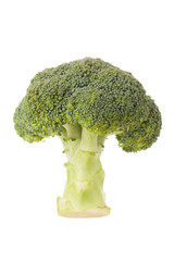 front view of broccoli