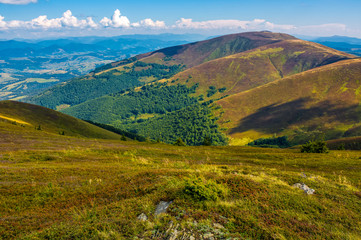 Obraz premium rocks among the grass on mountain slope