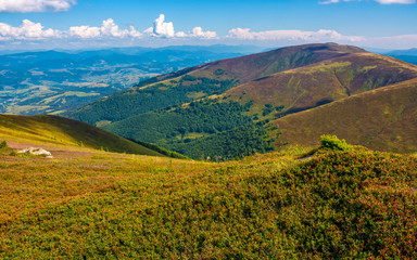 Fototapeta na wymiar grassy slopes of Carpathian mountain ridge