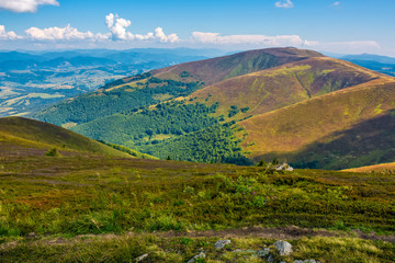 Obraz premium Borzhava ridge in Carpathian mountains in august