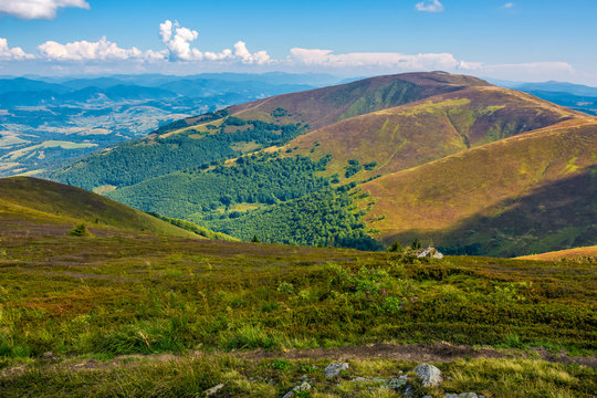 Borzhava ridge in Carpathian mountains in august