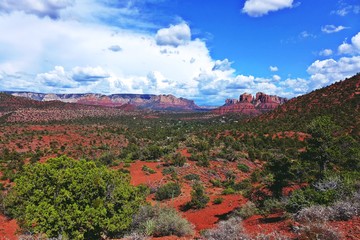 Blick auf eine rote Felsenwüste mit subtropischer Vegetation