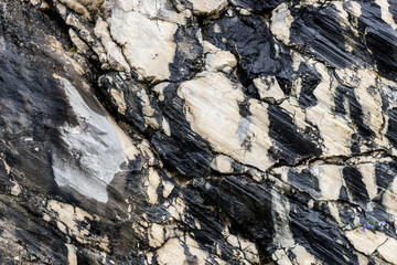 Black and white rocky structure