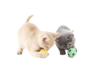 Fototapeta premium Ginger and grey kitten with balls isolated on a white